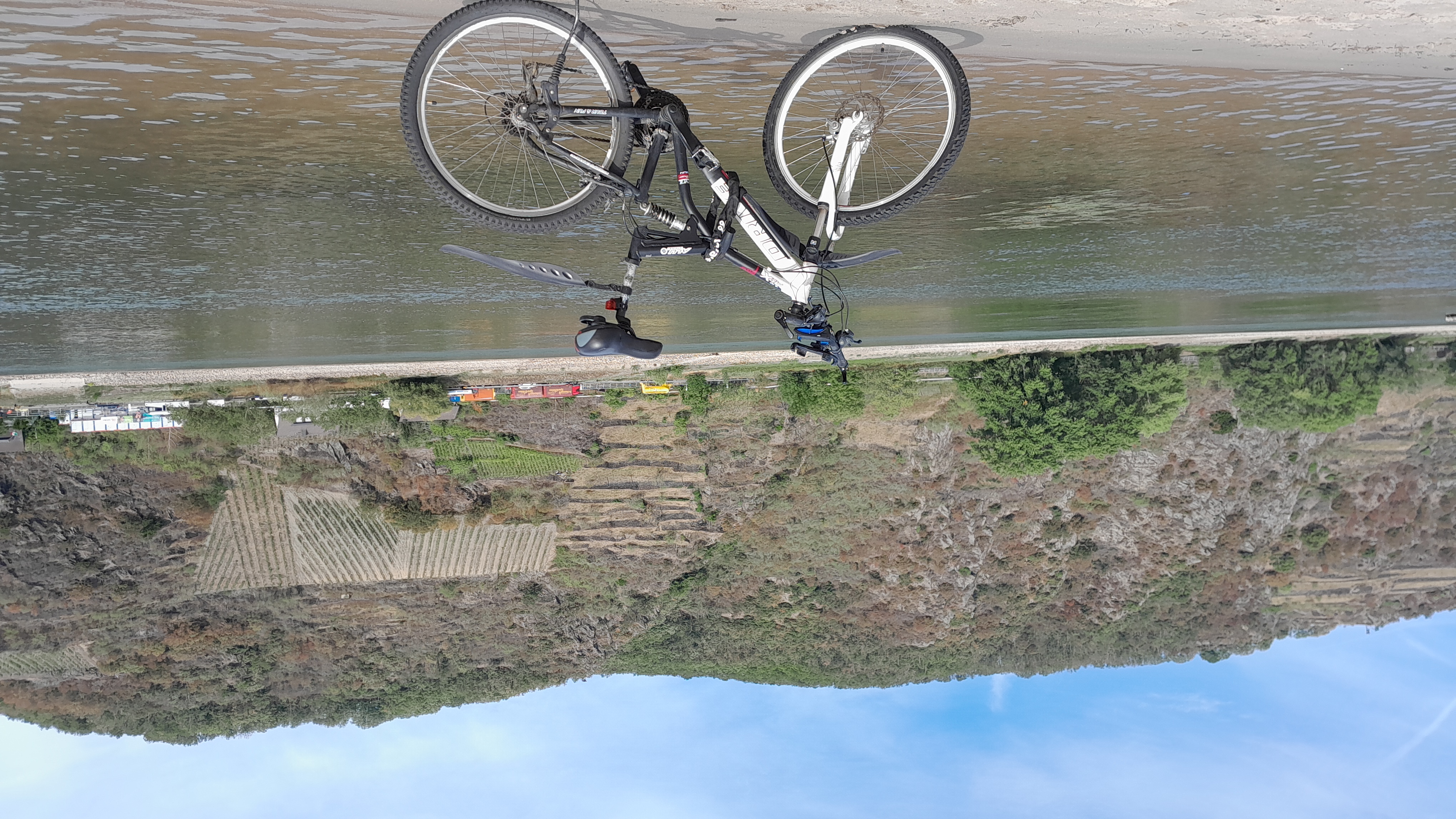 Cycling