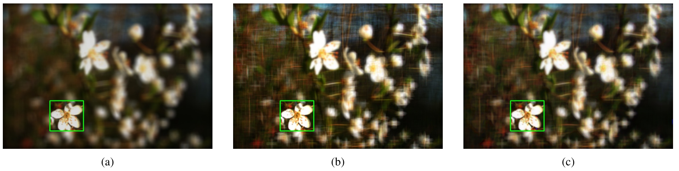 Dense, sparse without post-processing, and sparse with the U-Net